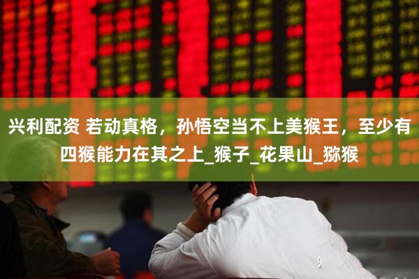 兴利配资 若动真格，孙悟空当不上美猴王，至少有四猴能力在其之上_猴子_花果山_猕猴