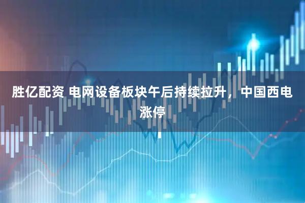 胜亿配资 电网设备板块午后持续拉升，中国西电涨停
