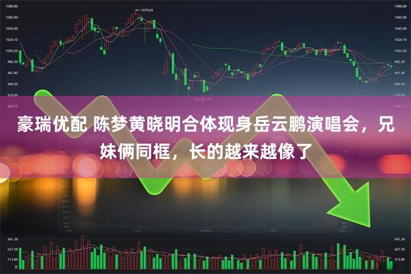 豪瑞优配 陈梦黄晓明合体现身岳云鹏演唱会，兄妹俩同框，长的越来越像了