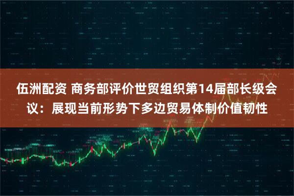 伍洲配资 商务部评价世贸组织第14届部长级会议：展现当前形势下多边贸易体制价值韧性